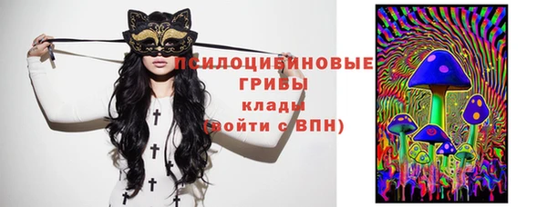 винт Арсеньев
