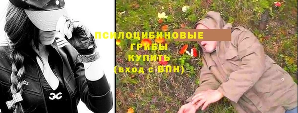 винт Арсеньев