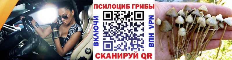 Галлюциногенные грибы ЛСД mega ONION Бабаево